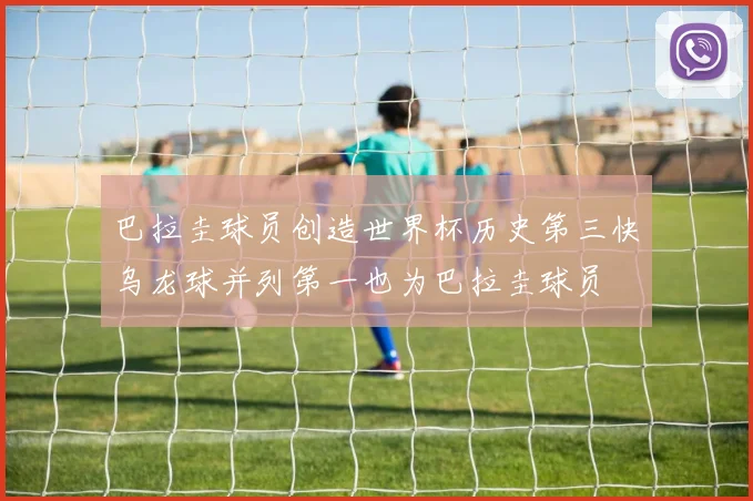巴拉圭球员创造世界杯历史第三快乌龙球并列第一也为巴拉圭球员