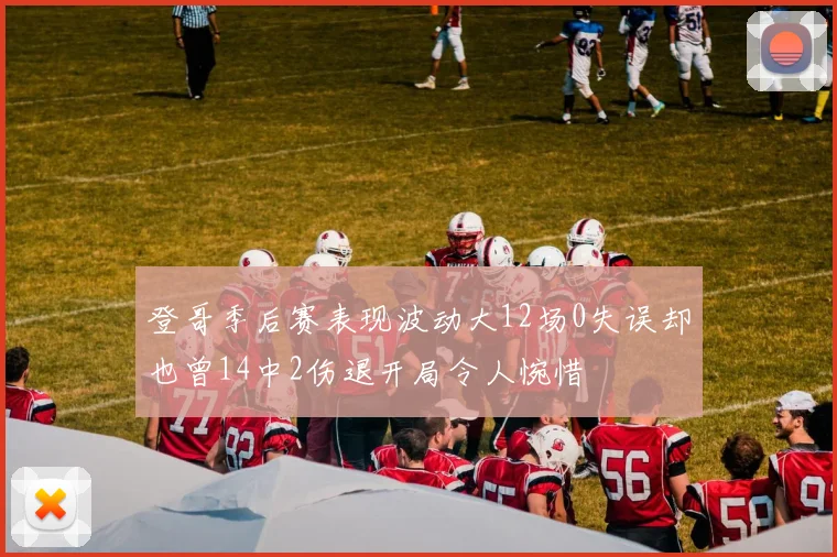 登哥季后赛表现波动大12场0失误却也曾14中2伤退开局令人惋惜