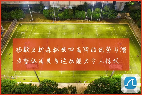 杨毅分析森林狼四高阵的优势与潜力整体高度与运动能力令人惊叹